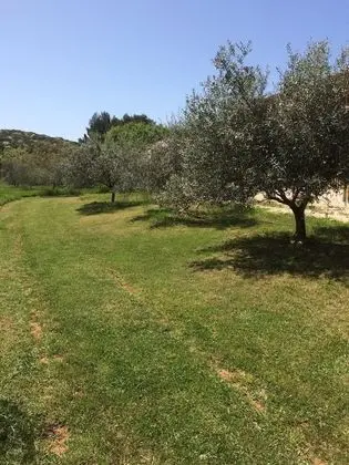 Exclusive Tek Büyük Yataklı Oda, Bahçe Manzaralı