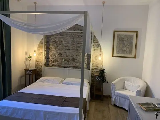 Premium Oda (Salvia)