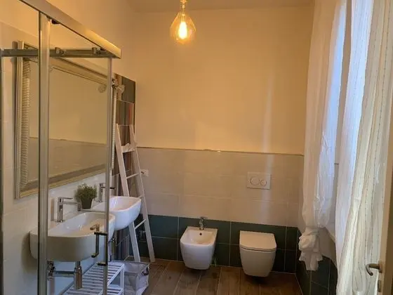 Premium Oda (Salvia)