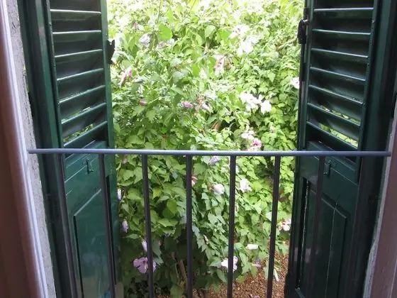 İki Ayrı Yataklı Oda, Ortak Banyo (External)