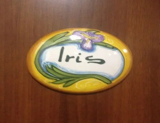 Economy Tek Büyük Yataklı Oda, 1 Çift Kişilik Yatak, Bahçe Manzaralı, Bahçeli