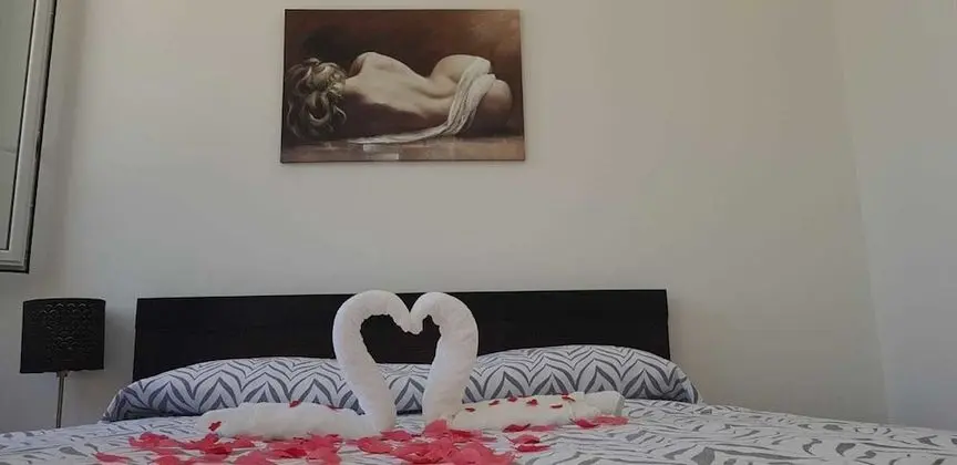 Design Süit