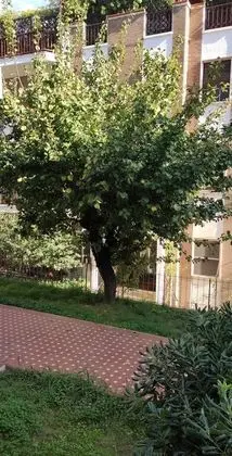 Family Oda, 1 Büyük (Queen) Boy Yatak, Özel Banyo, Bahçe Manzaralı (Maestra)