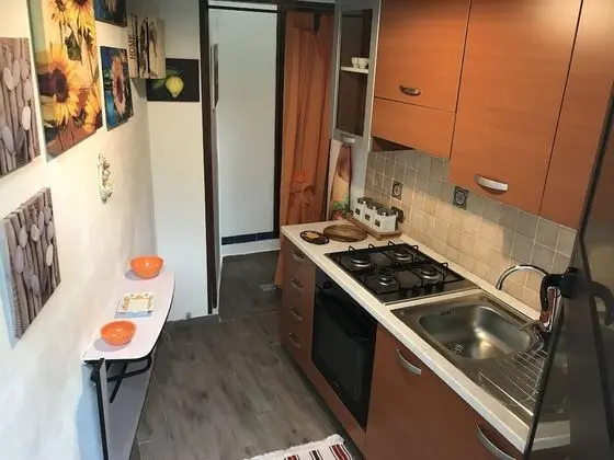 Apart Daire, 1 Yatak Odası (Cactus)