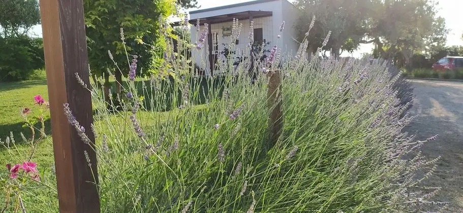 Tek Kişilik Oda, Bahçe Manzaralı