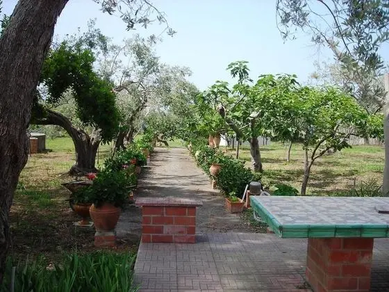 Ev, 1 Yatak Odası, Sigara İçilebilir, Buzdolabı