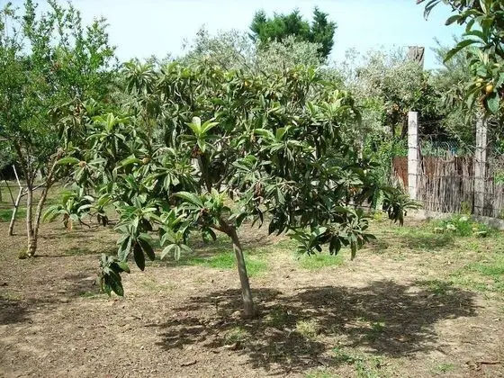 Ev, 1 Yatak Odası, Sigara İçilebilir, Buzdolabı