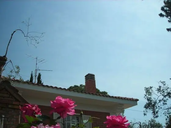 Ev, 1 Yatak Odası, Sigara İçilebilir, Buzdolabı