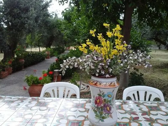 Ev, 1 Yatak Odası, Sigara İçilebilir, Buzdolabı