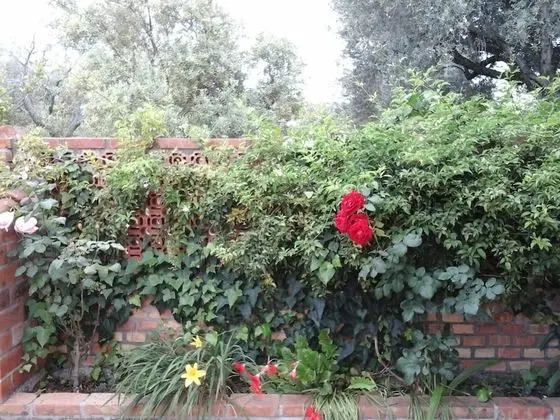 Ev, 1 Yatak Odası, Sigara İçilebilir, Buzdolabı