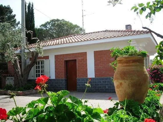 Ev, 1 Yatak Odası, Sigara İçilebilir, Buzdolabı