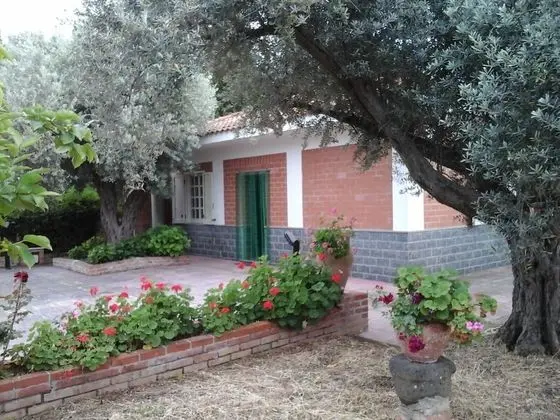 Ev, 1 Yatak Odası, Sigara İçilebilir, Buzdolabı