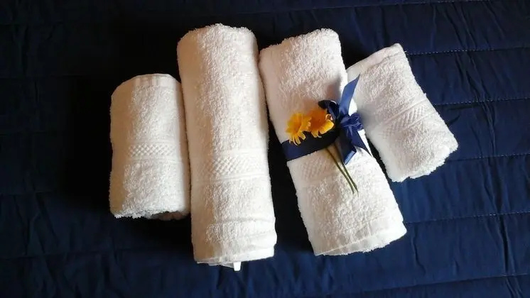 Ev, 1 Yatak Odası, Sigara İçilebilir, Buzdolabı