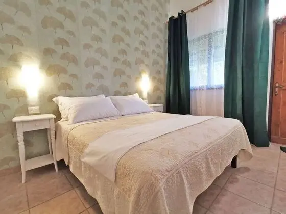 Deluxe Tek Büyük Yataklı Oda, Engellilere Uygun