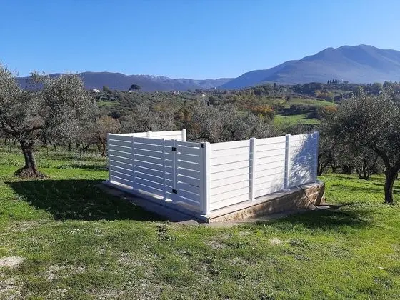 Dört Kişilik Oda