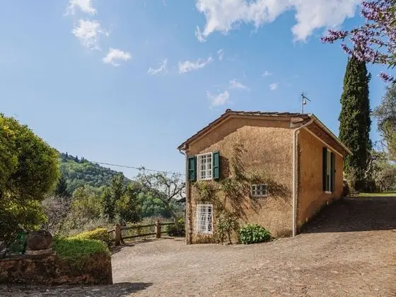 Ev