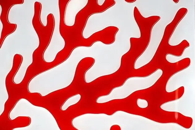 Tek Büyük Yataklı Oda (Corallo)