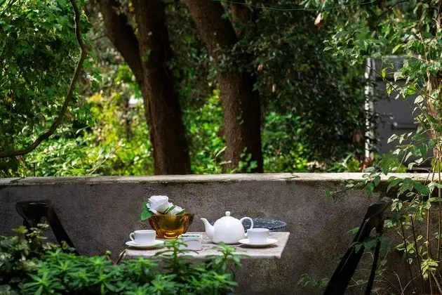 Deluxe Tek Büyük Yataklı Oda, Teras (1 large double bed)