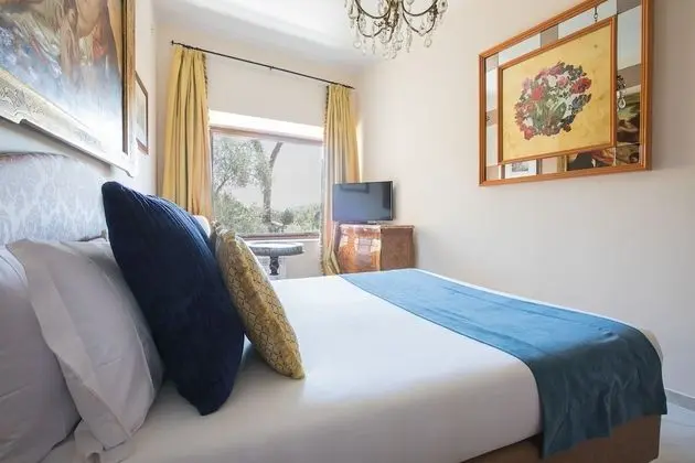 Comfort Tek Büyük Yataklı Oda, Bahçe Manzaralı