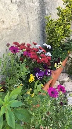 Ev, 1 Yatak Odası, Buzdolabı