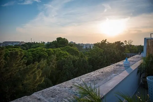 Superior Tek Büyük Yataklı Oda, Teras, Şehir Manzaralı
