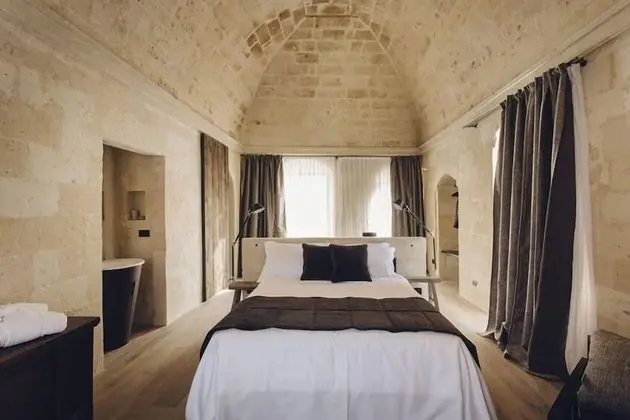 Superior Tek Büyük Yataklı Oda