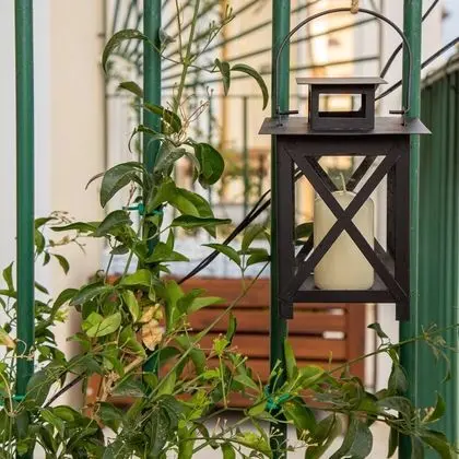 Tek Büyük Yataklı Oda, Balkon
