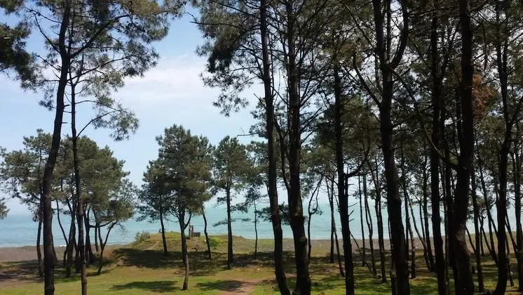 Villa, Birden Çok Yatak