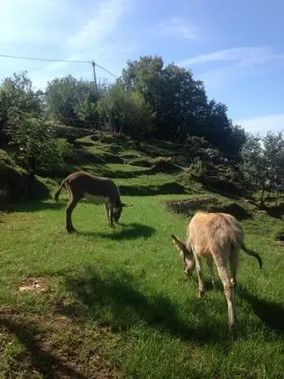 Ev, Sigara İçilebilir