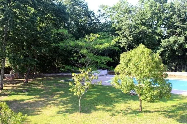 Comfort Üç Kişilik Oda, Havuz Manzaralı