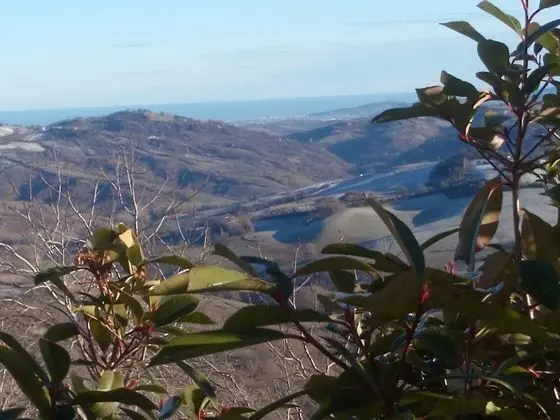 Superior Üç Kişilik Oda