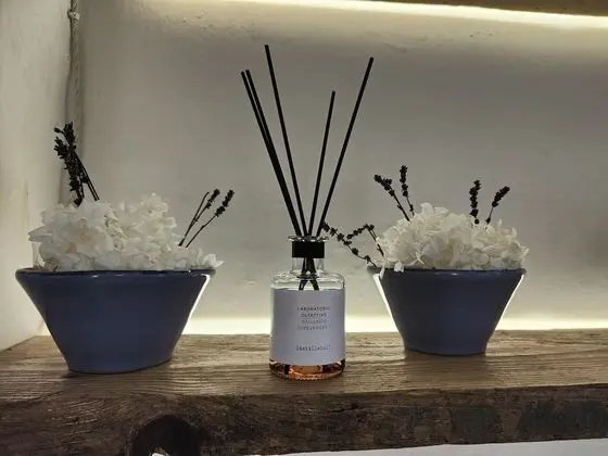 Superior Tek Büyük veya İki Ayrı Yataklı Oda (Purple Room)