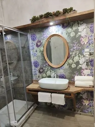 Superior Tek Büyük veya İki Ayrı Yataklı Oda (Purple Room)