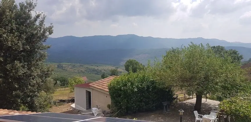 Basic Üç Kişilik Oda