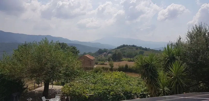 Comfort Üç Kişilik Oda