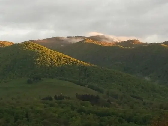 Standard Tek Büyük Yataklı Oda, 1 Çift Kişilik Yatak, Özel Banyo