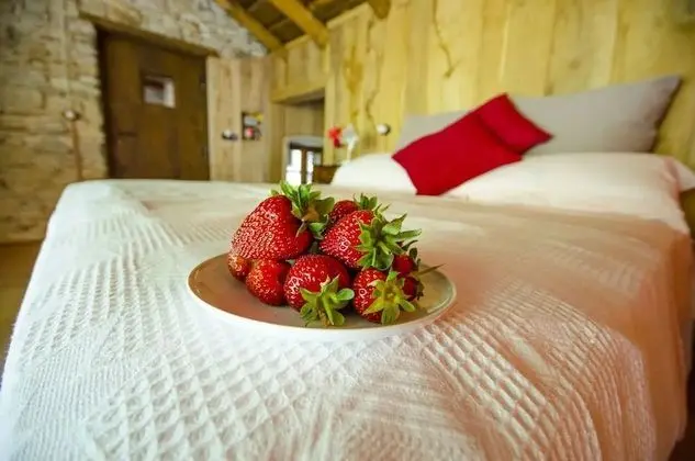 Junior Tek Büyük Yataklı Oda, Teras, Dağ Manzaralı