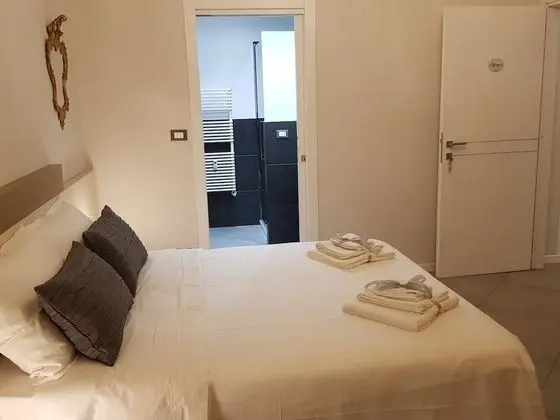 Tek Büyük Yataklı Oda, Banyolu/Duşlu (Camera Affresco)