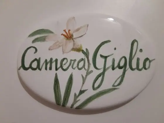 Superior Tek Büyük Yataklı Oda, Balkon