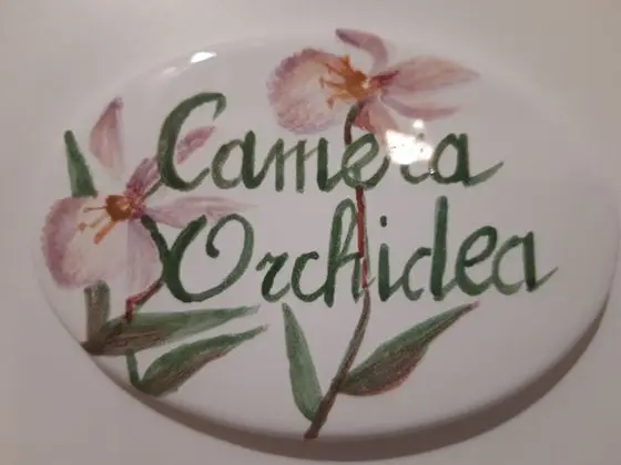 Tek Büyük Yataklı Oda, Teras