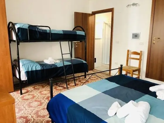 Family Oda (Caladomestica)