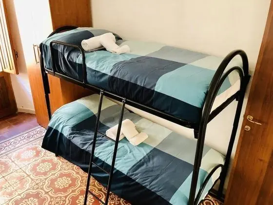 Family Oda (Caladomestica)