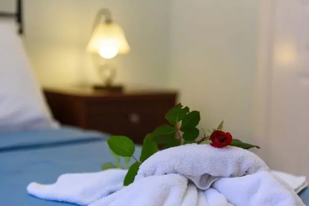 Deluxe Villa, 4 Yatak Odası, Kişiye Özel Havuzlu