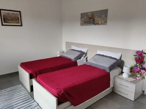 Deluxe Tek Büyük veya İki Ayrı Yataklı Oda