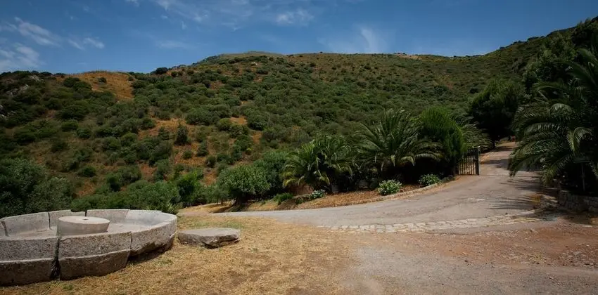 Superior Tek Büyük Yataklı Oda, 1 Çift Kişilik Yatak