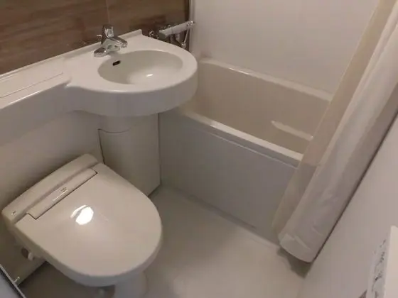 Standard Tek Büyük Yataklı Oda, 1 Yatak Odası