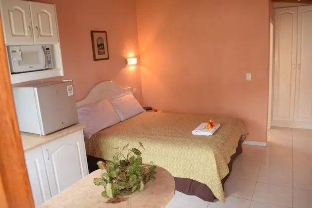 Basic Süit, 1 Çift Kişilik Yatak, Sigara İçilmez