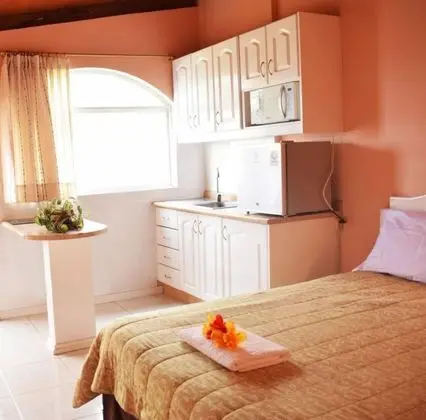 Basic Süit, 1 Çift Kişilik Yatak, Sigara İçilmez