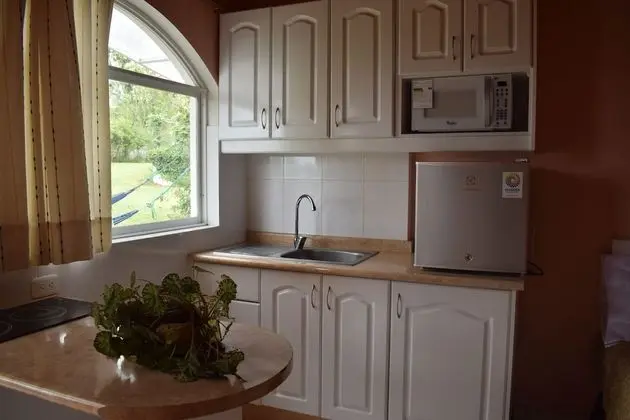 Basic Süit, 1 Çift Kişilik Yatak, Sigara İçilmez