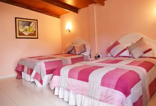 Basic Tek Büyük Yataklı Oda, 2 Çift Kişilik Yatak, Sigara İçilmez